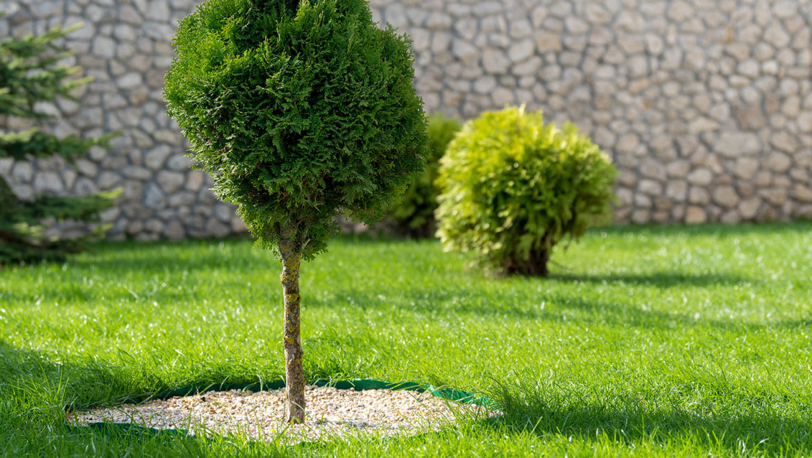 bonus verde 2020 detrazione giardini balconi terrazzi